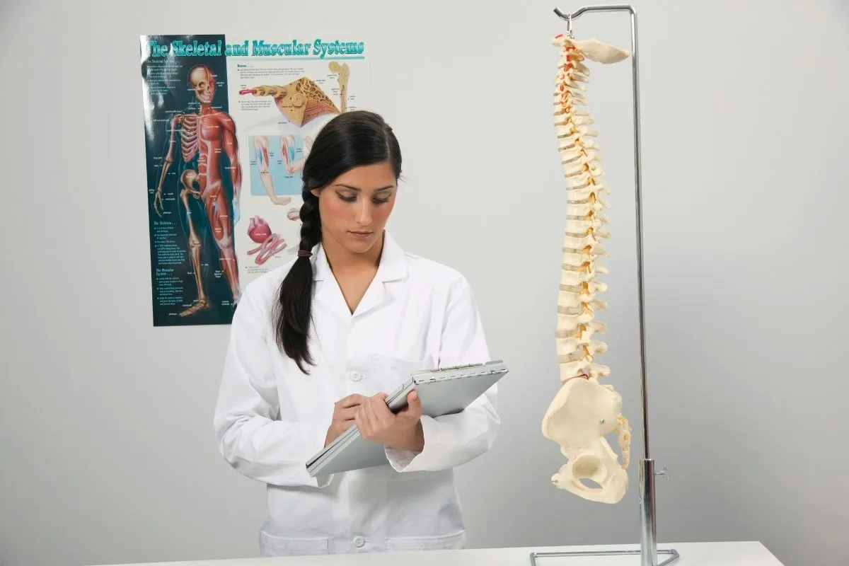 What Is Chiropractor Billing